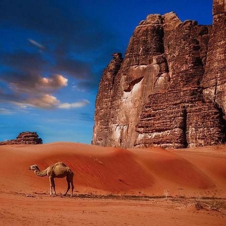 Bedouin Cave Wadi Rum Campsite 호텔 외부 사진