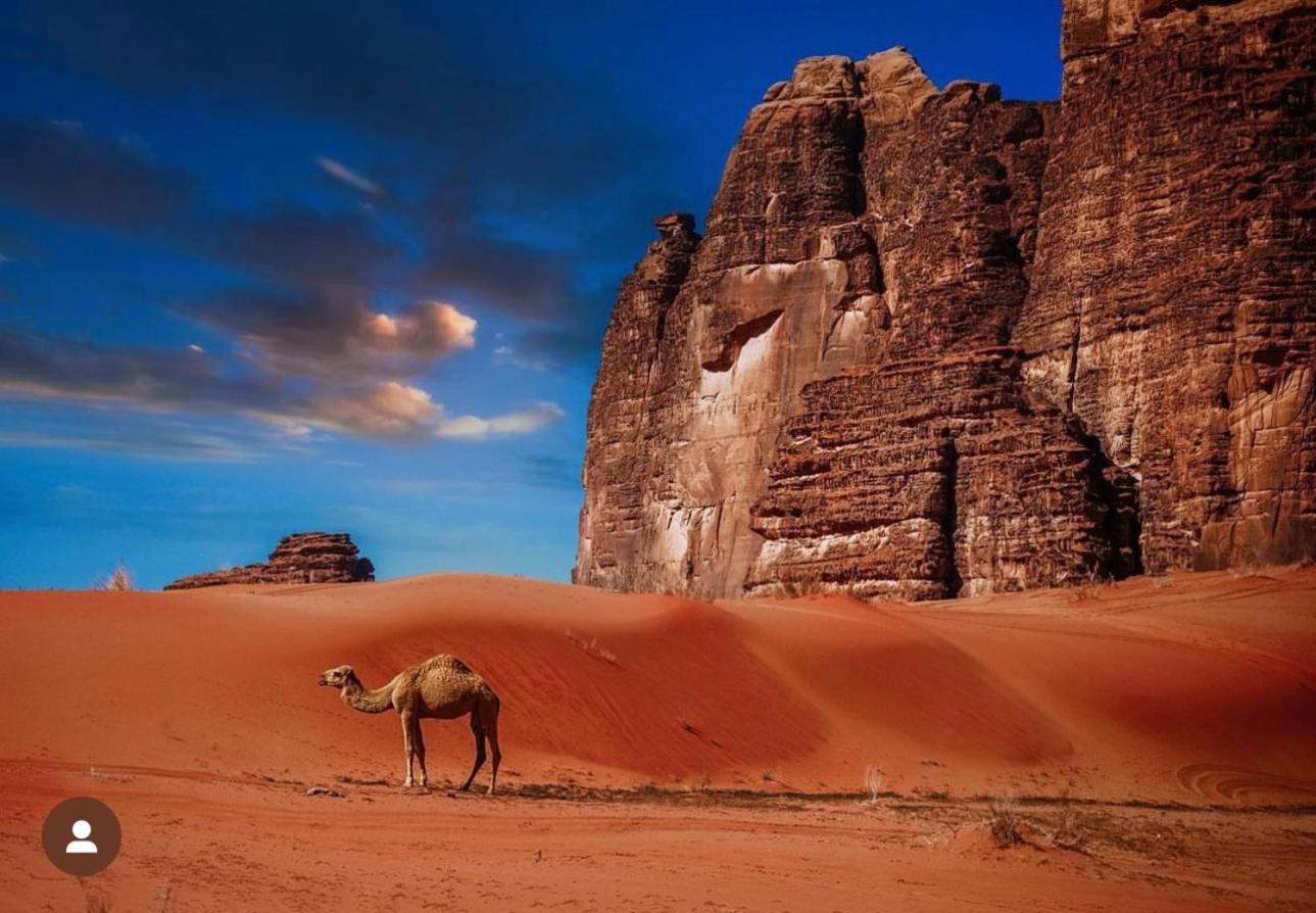 Bedouin Cave Wadi Rum Campsite 호텔 외부 사진