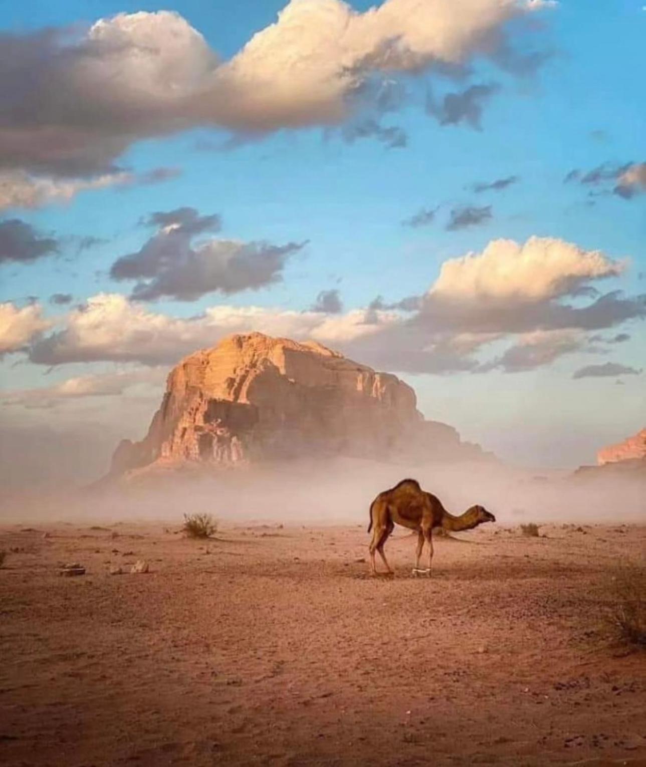 Bedouin Cave Wadi Rum Campsite 호텔 외부 사진